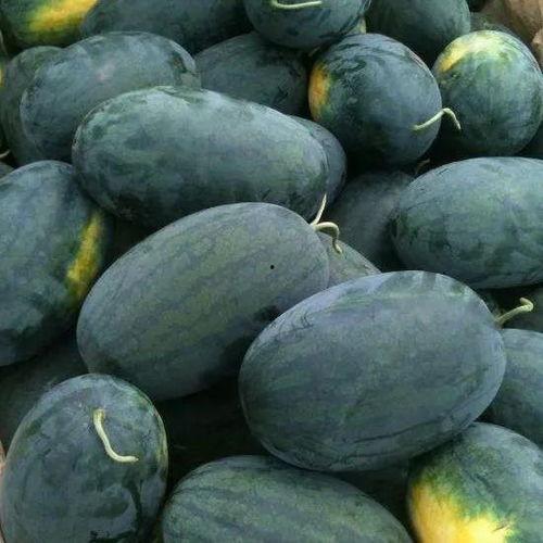 华夏理工吃瓜,吃瓜群众揭秘校园热点事件