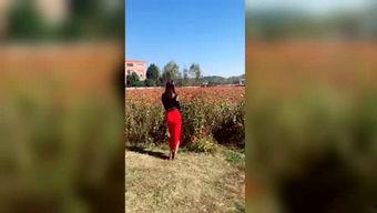 吃瓜的神探,揭秘娱乐圈背后的秘密