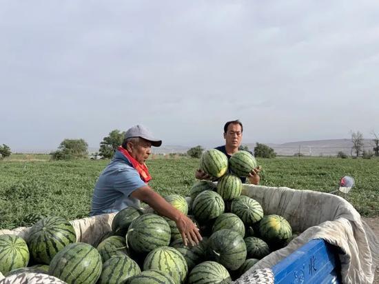 刁镇吃瓜,揭秘当地特色美食背后的故事