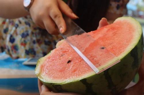 台湾直播吃瓜,揭秘网红幕后生活