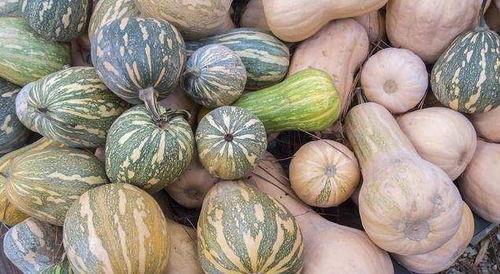 吃一天瓜,一天吃瓜，乐享生活