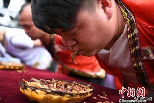 丽江夫妻吃瓜视频播放,揭秘瓜界奇闻轶事