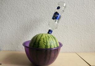 最近流行的吃瓜