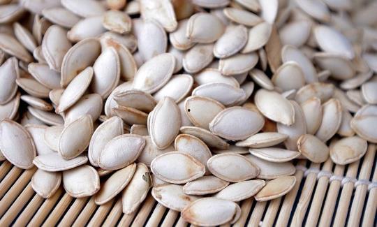 白条瓜吃籽,探索美味与营养的奇迹