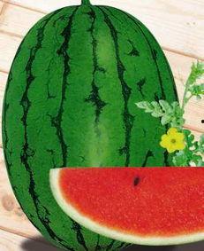 宁陵县吃瓜事件,一场引发社会关注的网络风波