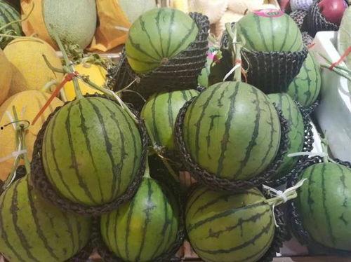 怎么在小蓝鸟吃瓜,网络热点的幕后故事