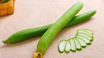 多肉宝贝吃瓜,多肉宝贝的夏日瓜果盛宴